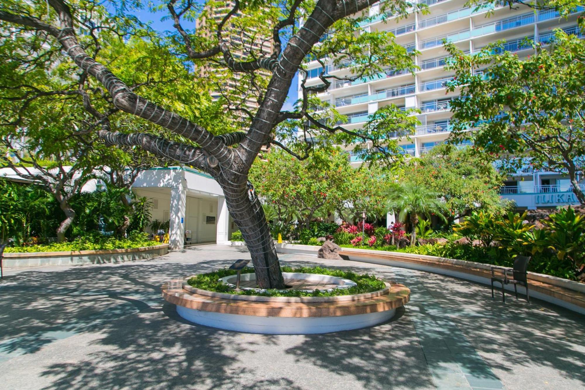 Ilikai Tower 525 City View 2Br Χονολουλού Εξωτερικό φωτογραφία